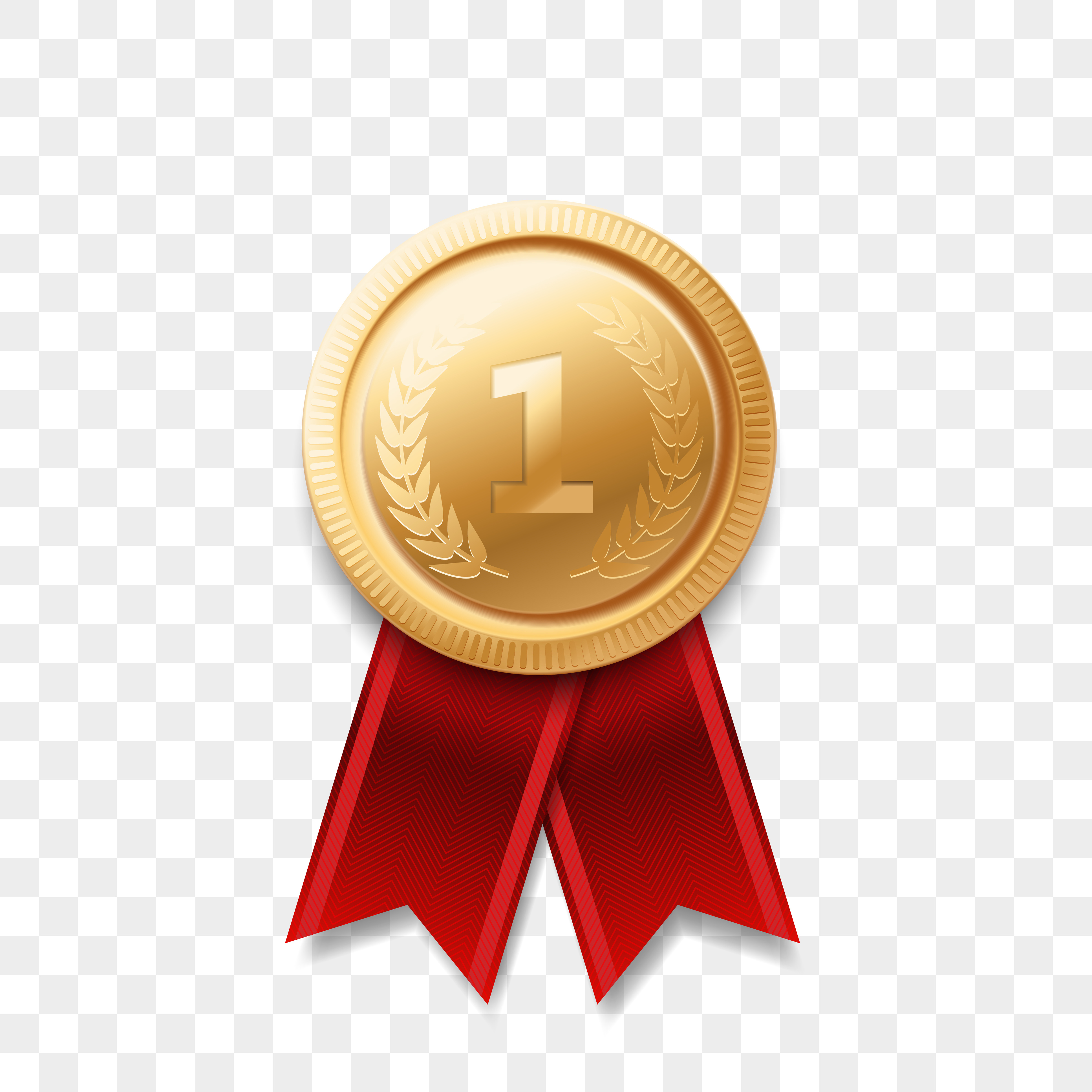 1st Prize Medal