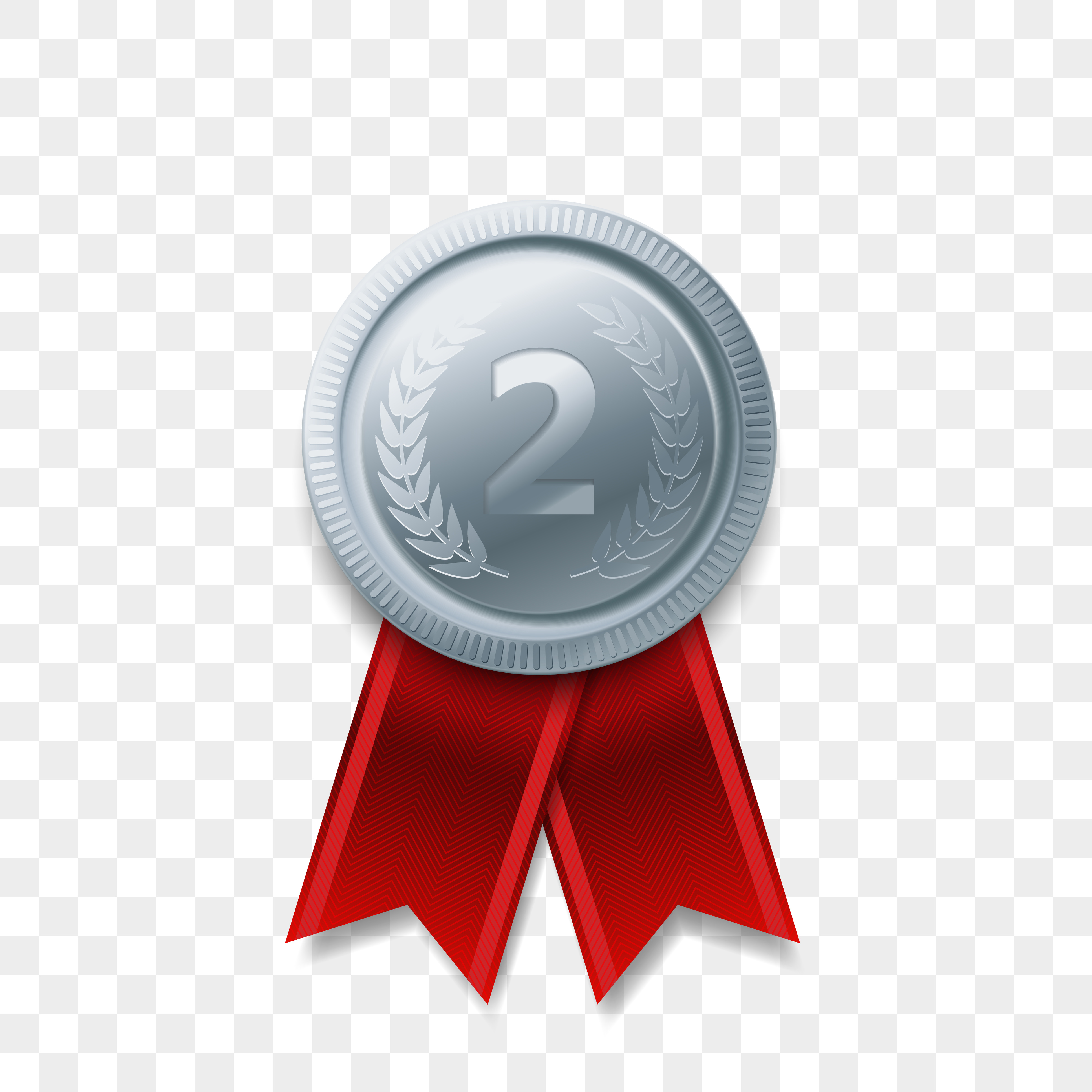 2nd Prize Medal