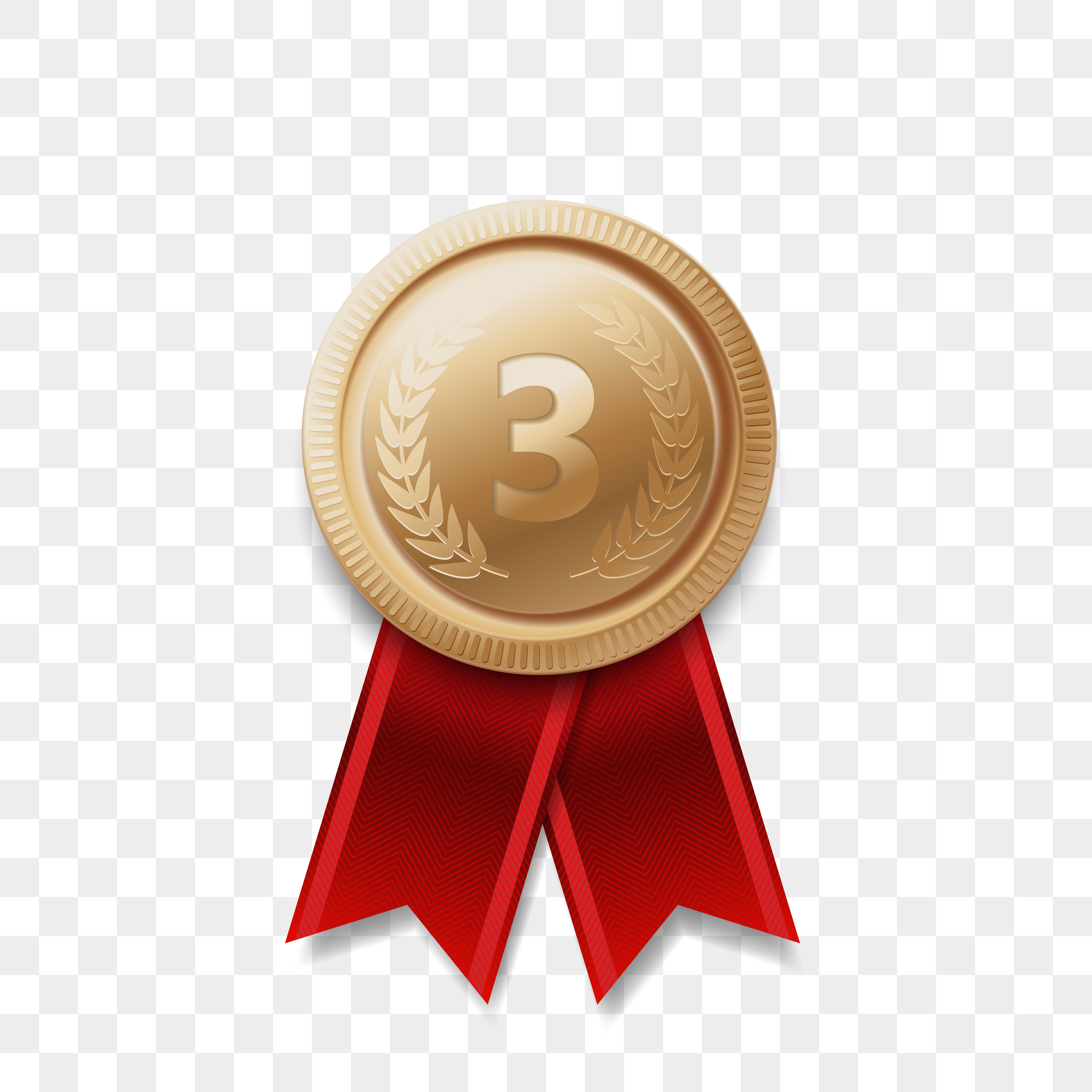 3rd Prize Medal